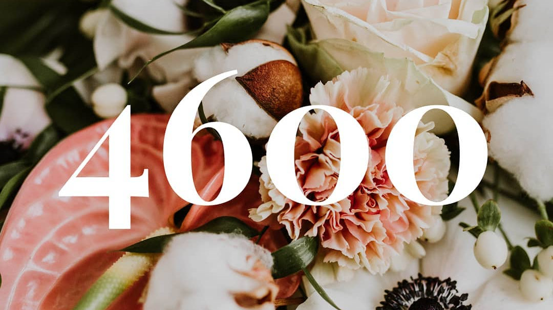 Tulevaisuus 4600 naiselle - Kaiko Clothing Company Oy